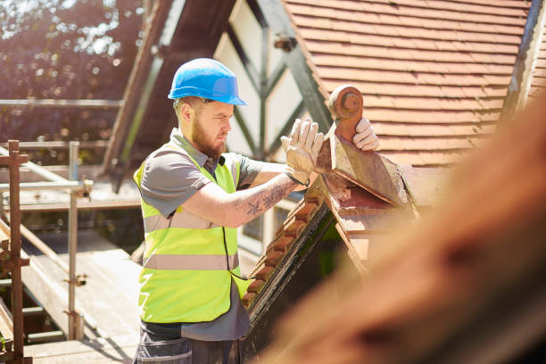 Best Roof Gutter Cleaning  in Woodside, PA